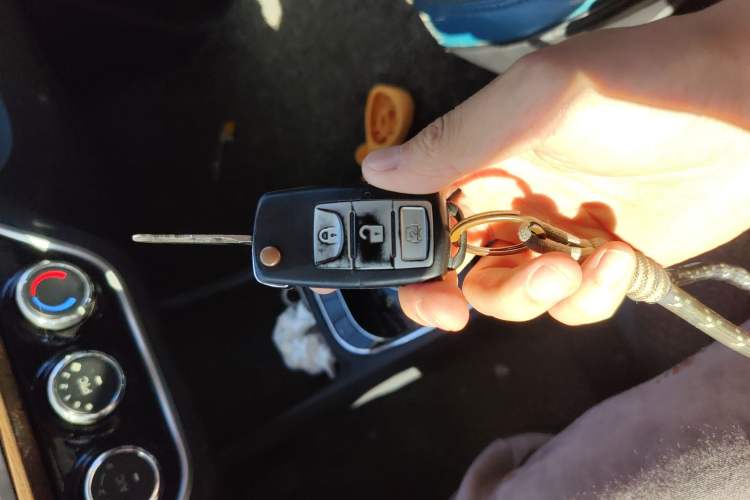 Used BAW BAIC Big Cat 2020 Basic Model
