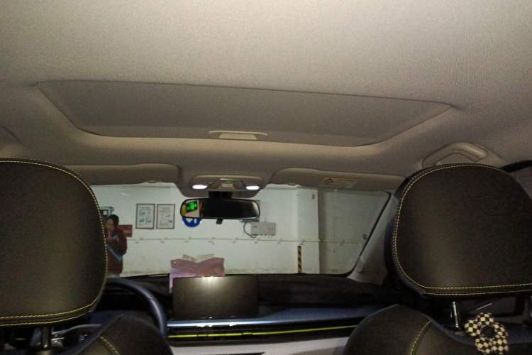 Used Geometry EX3 Kung Fu Cow 2021 Kungfu NiuNiu Headliner