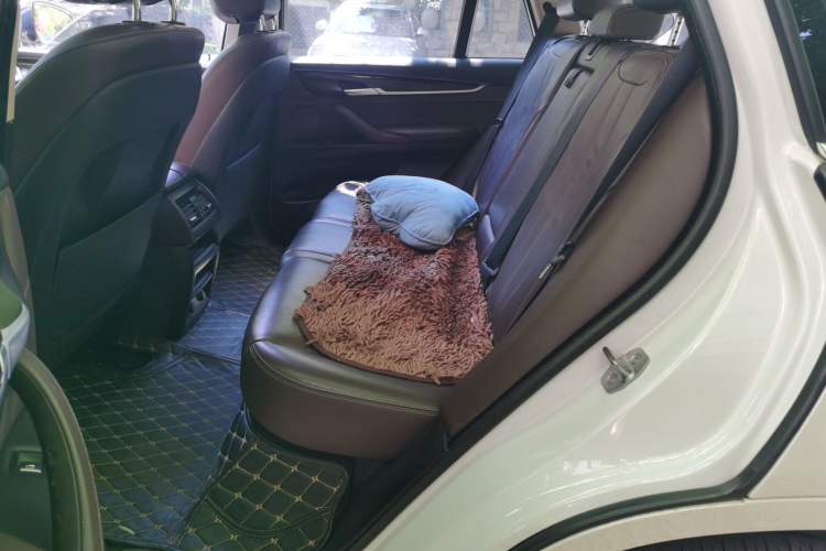 Used BMW X5 2017 xDrive28i Left Rear Seat