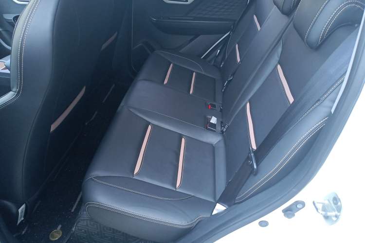 Used SOL E10X 2022 Flower Fairy Style Baby's Breath
