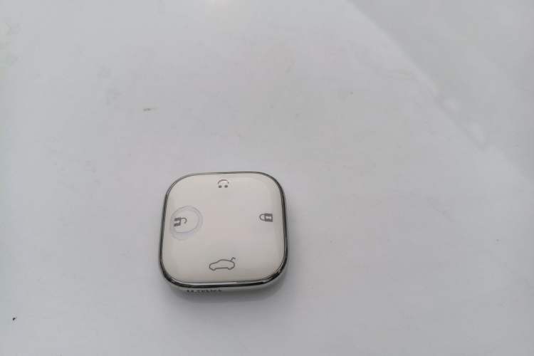 Used CHANGAN NEVO Lumin 2023 205km Xiangqin Version Vehicle Key