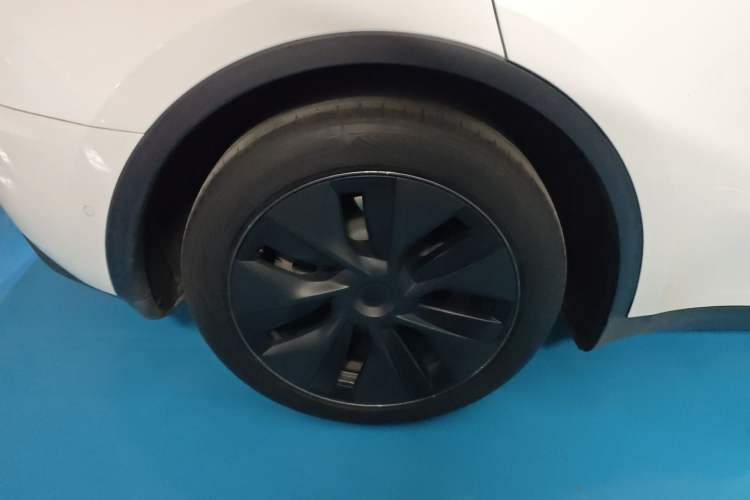 Used Tesla Model Y 2023 Rear-Wheel-Drive Version Exterior 5