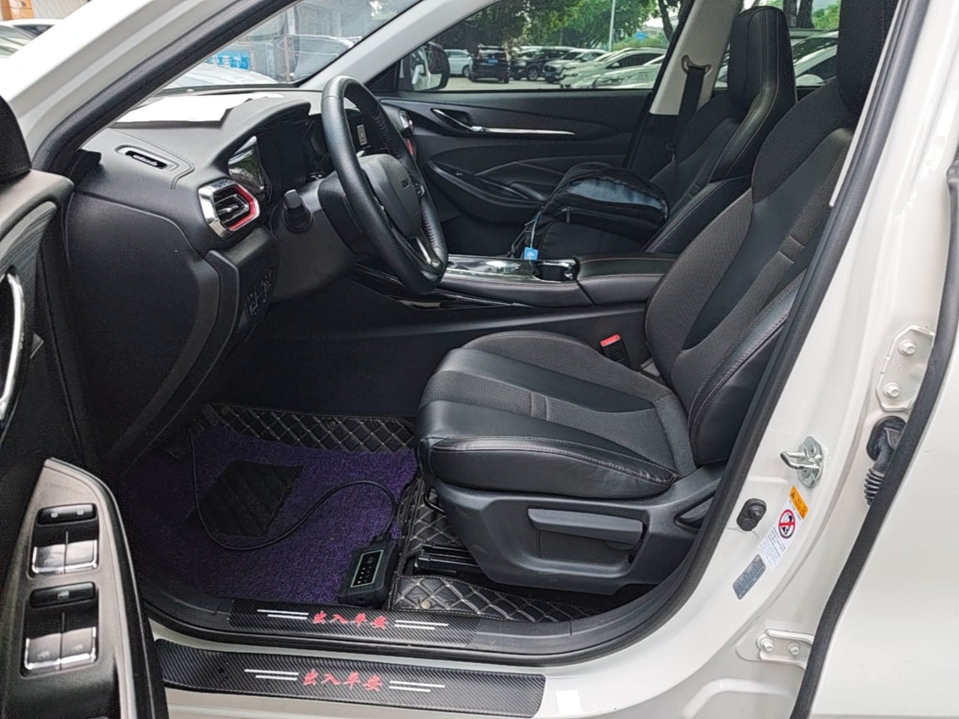 Interior delantero