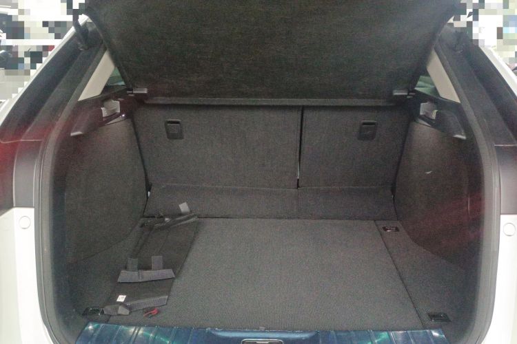 Used Honda Avancier 2020 370TURBO Four-Wheel Drive Premium Edition
