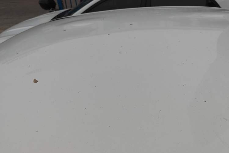 Used Toyota Vios 2017 1.5L Manual Trend Edition