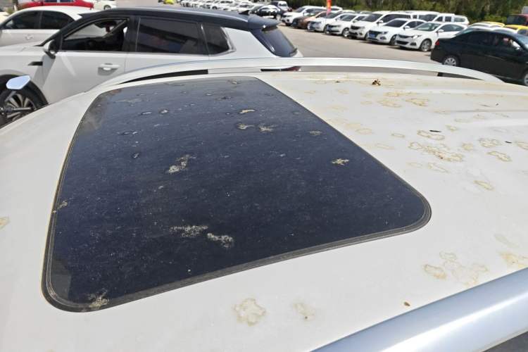 Used Haval H2 2017 Red-Label 1.5T Automatic Two-Wheel Drive Luxury Model
