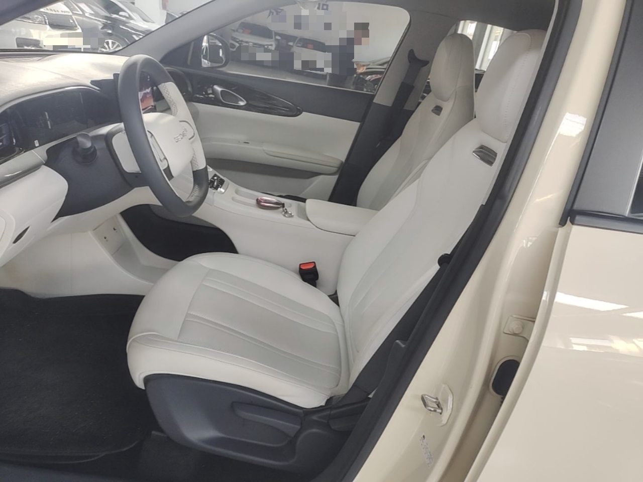 Geely Galaxy Geome 2025 310km Youth Edition — снимка 17