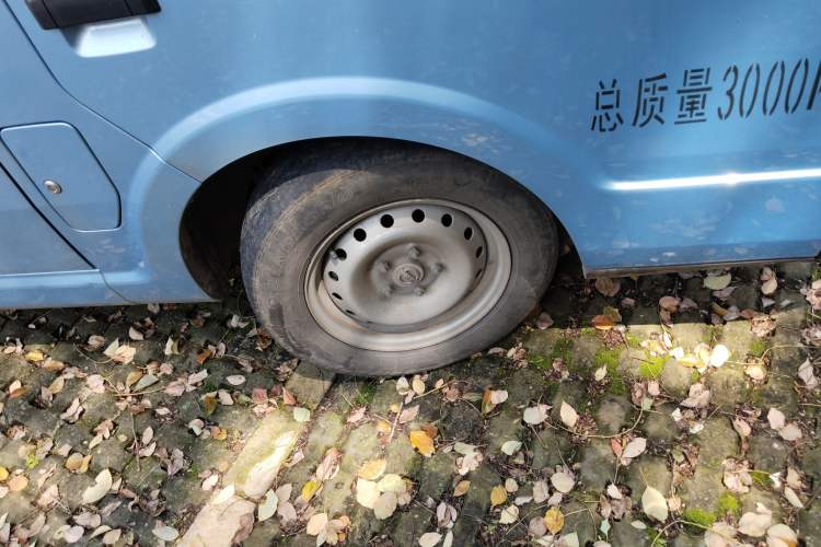 Used SRM New Energy E3L 2024 Standard Model
