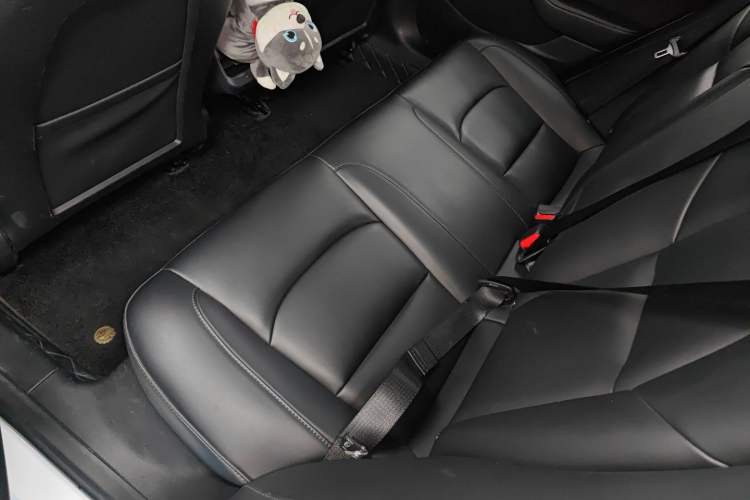 Used Tesla Model 3 2022 Rear-Wheel-Drive Version Left Rear Seat