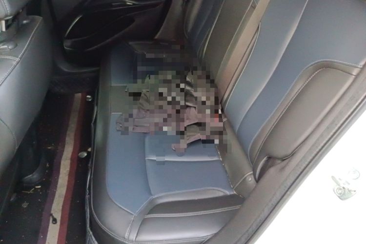 Used Buick Velite 6 2019 Connected Fashion Model
