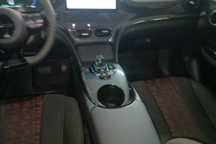 Used BYD e2 2023 Comfort Model Gear Lever