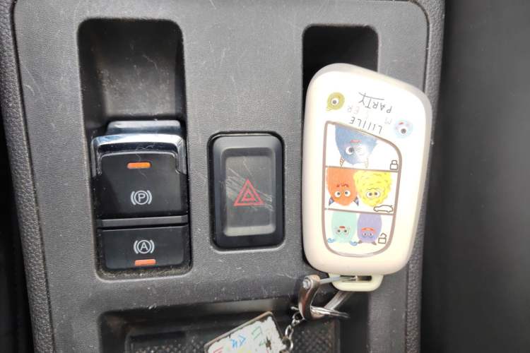 Used Chery Little Ant 2024 251km True Love Edition
