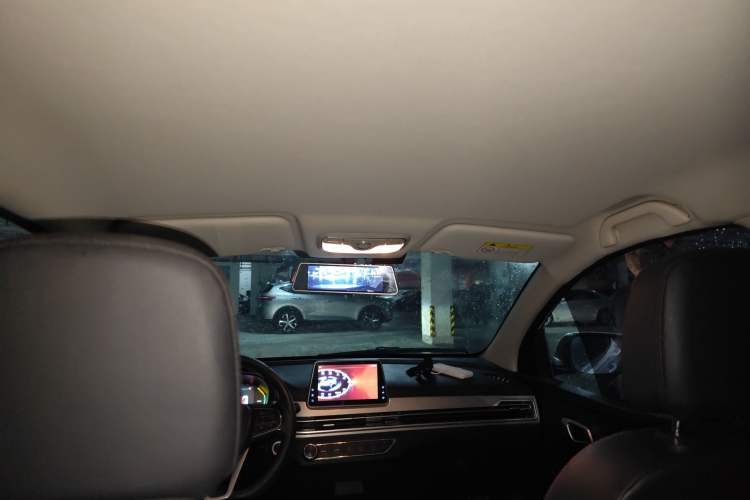 Used Dayun Yuehu 2021 32.85 kWh Two-Wheel-Drive Sprite Version Headliner