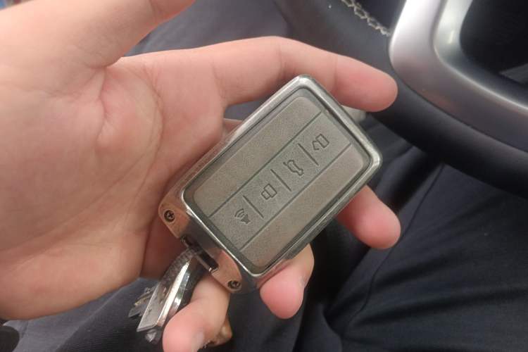 Used Tank 300 2023 Off-Road Edition 2.0T Conqueror
