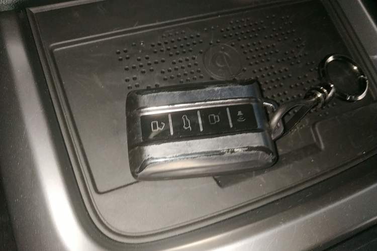 Used Tank 300 2024 2.0T Conqueror