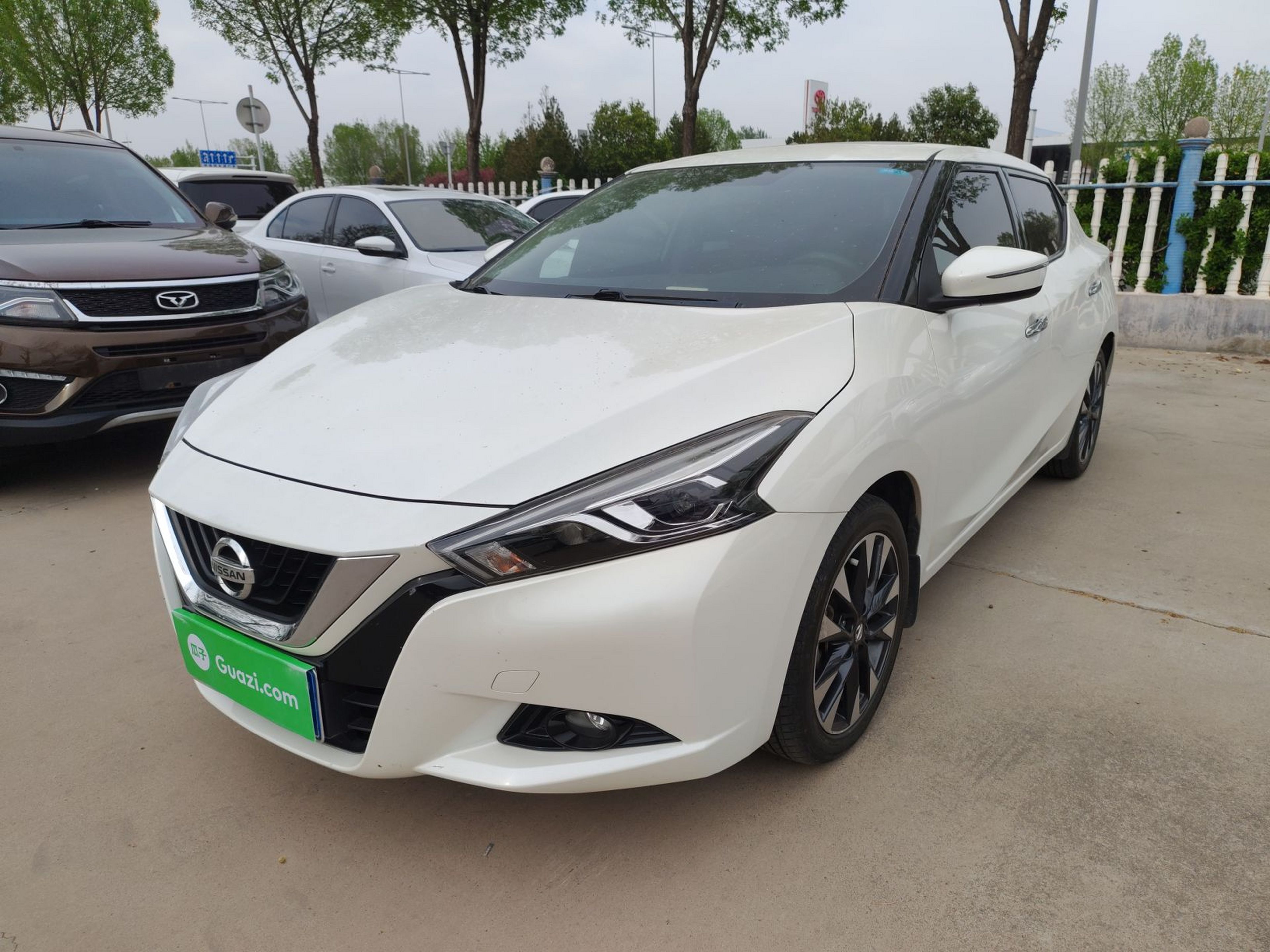 Parte inferior delantera