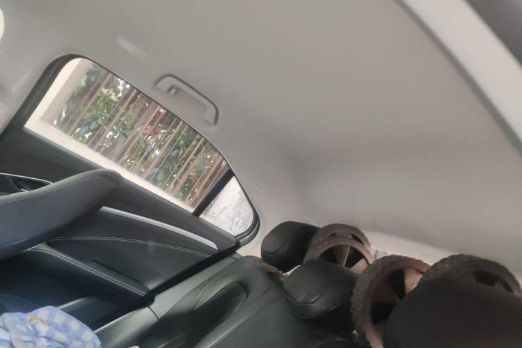 Used NETA U 2021 Pro 500 Global Edition Headliner