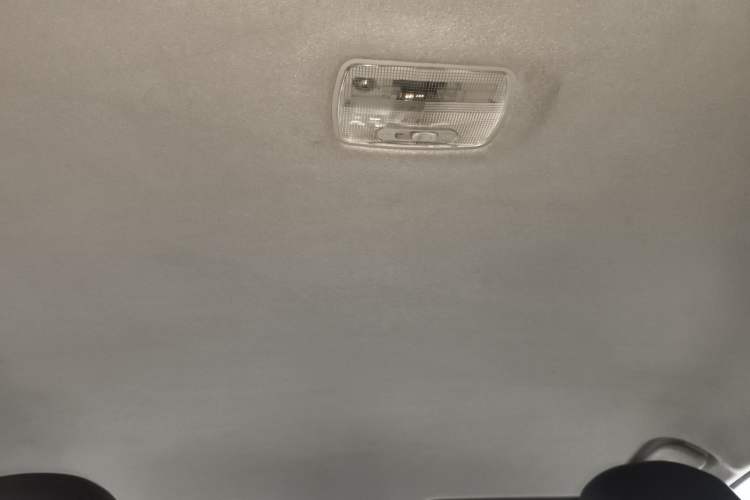 Used FORTHING S50 2021 Operational Type
