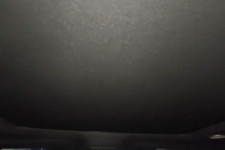 Used Ford F-150 Raptor 2022 3.5T Raptor Headliner