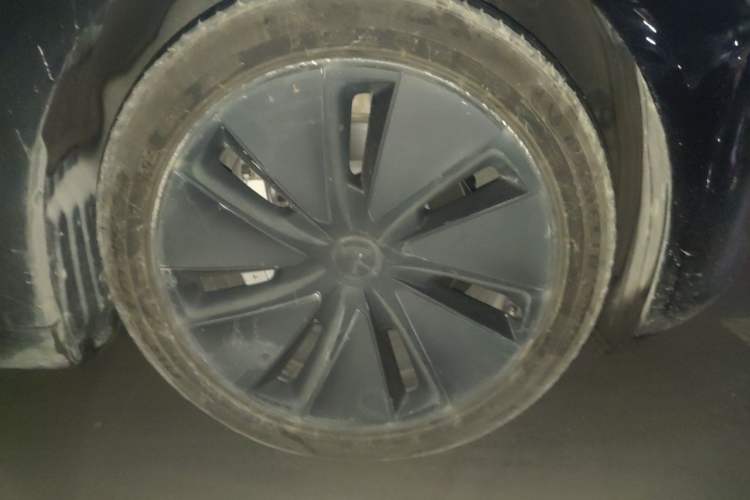 Used Tesla Model 3 2023 Rear-Wheel-Drive Version