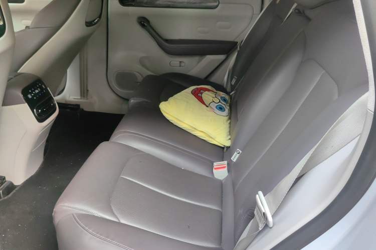 Used Leapmotor C11 2023 Range-Extended 285 Smart Enjoyment Edition Left Rear Seat