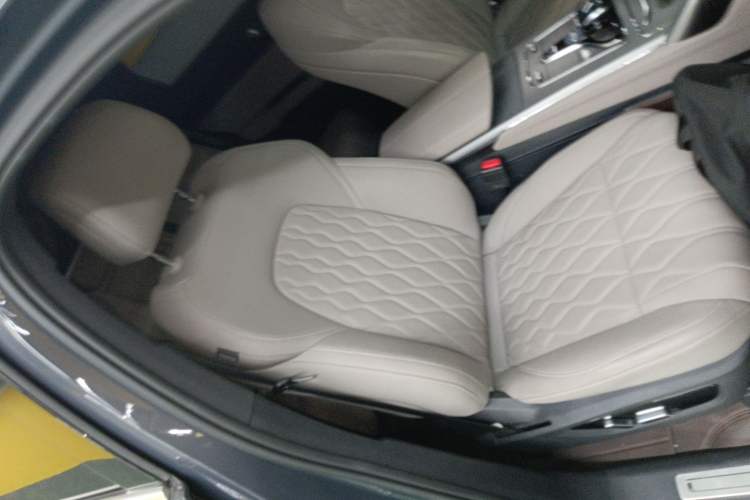 Used BYD Tang New Energy 2024 DM-i Glory Edition 112KM Prestige Model Right Front Seat