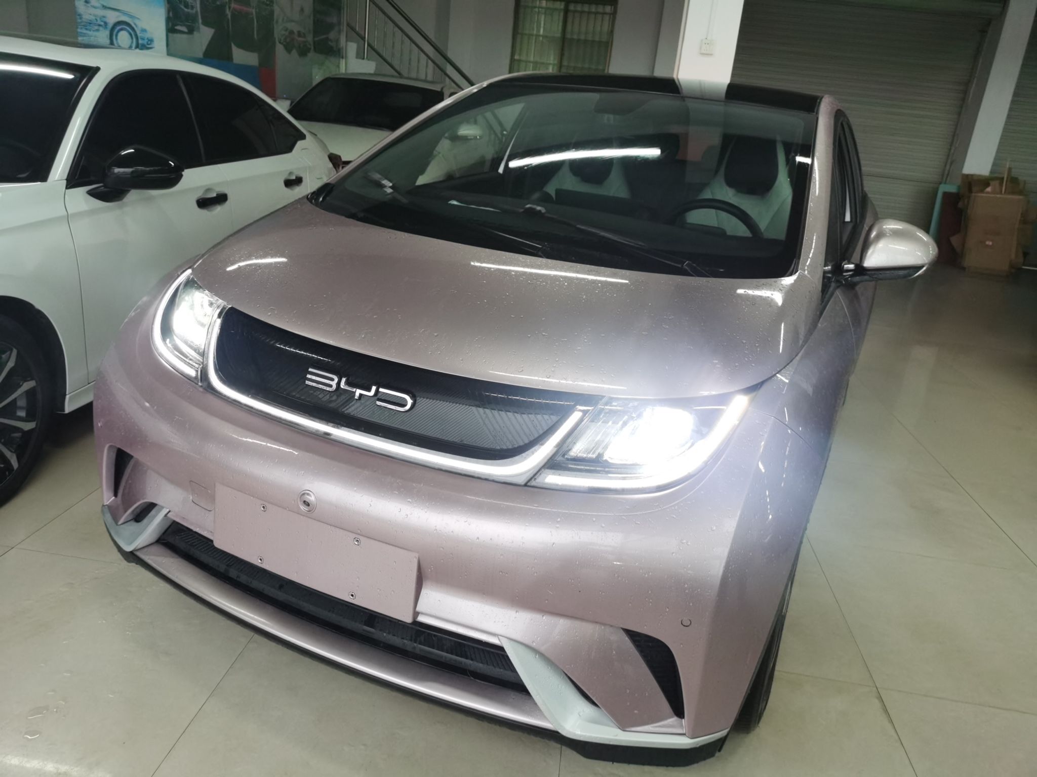 Parte inferior delantera