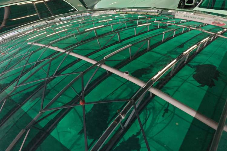 Used Tesla Model Y 2025 Rear-Wheel Drive First Edition