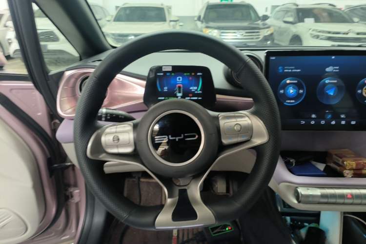 Used BYD Dolphin 2023 420 km Free Version Steering Wheel