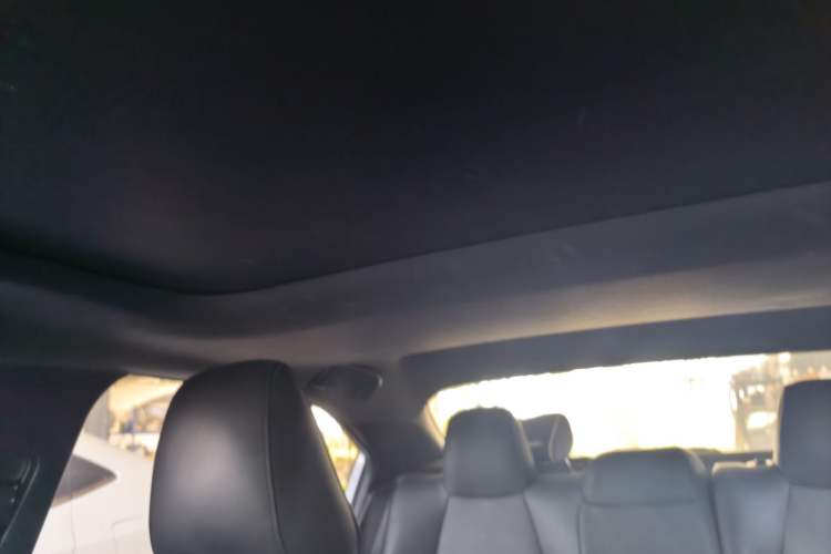 Used Toyota Levin 2019 185T CVT Luxury Edition China VI Standard
