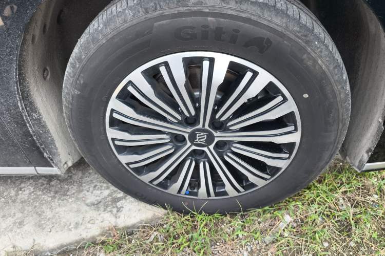 Used BYD Xia 2025 DM-i 1.5T 100km Supreme Edition
