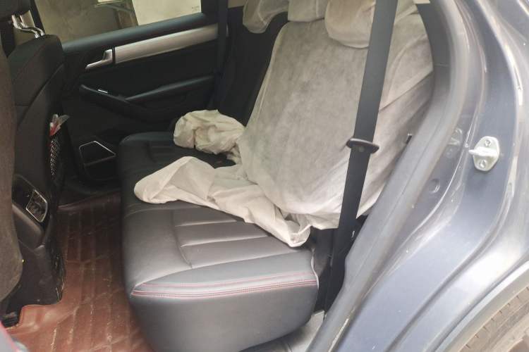 Used BYD Tang New Energy 2019 EV600D Four-Wheel Drive Smart Connect Genesis Edition Left Rear Seat