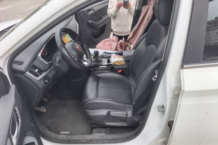 Used Roewe RX5 2016 20T Two-Wheel Drive Manual Flagship Edition