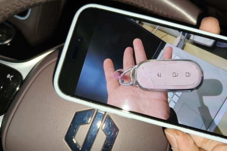 Used Leapmotor C11 2023 Pure Electric 500 Comfort Edition