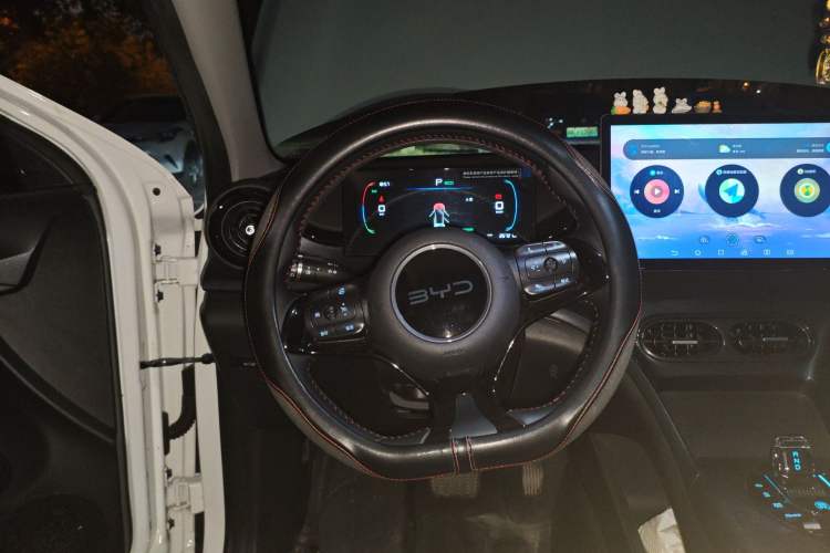 Used BYD e2 2024 Honor Edition Luxury Model Steering Wheel