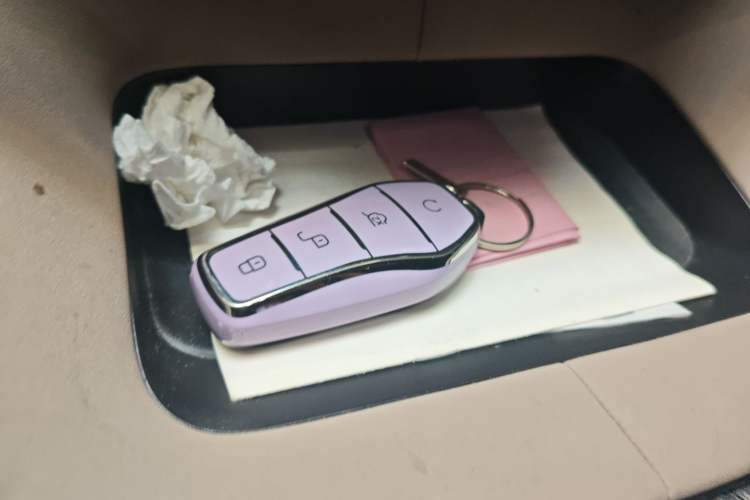 Used BYD Dolphin 2023 420 km Free Version