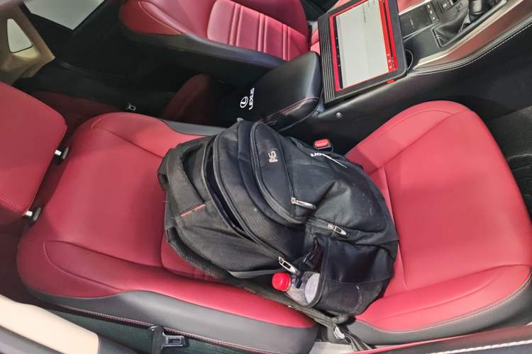 Used Lexus NX 2020 300h Front-Drive FENGSHANG Version China VI Standard