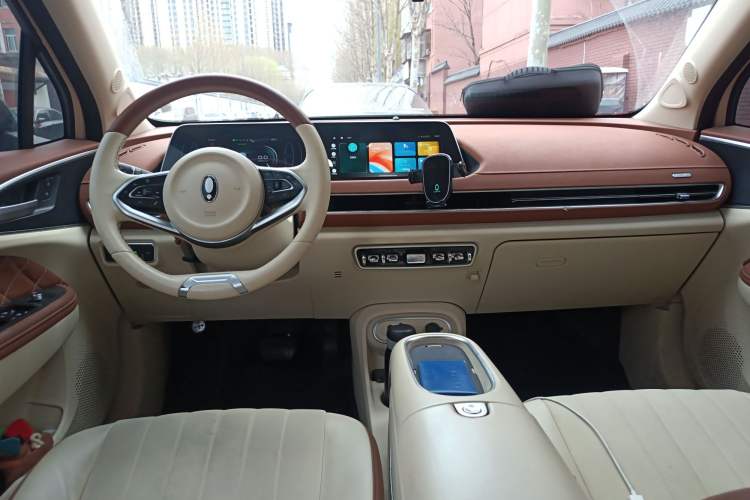 Used ORA Good Cat 2023 401 km Standard Range Luxury Version Lithium Iron Phosphate