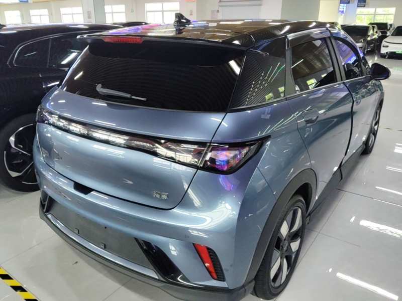 Used BYD Dolphin 2025 520km Range Knight Edition — 6