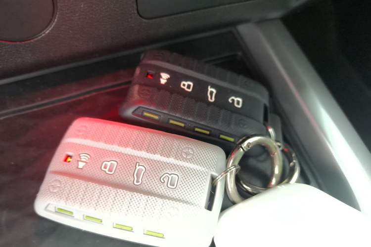 Used Tank 300 2021 Off-Road Edition 2.0T Conqueror