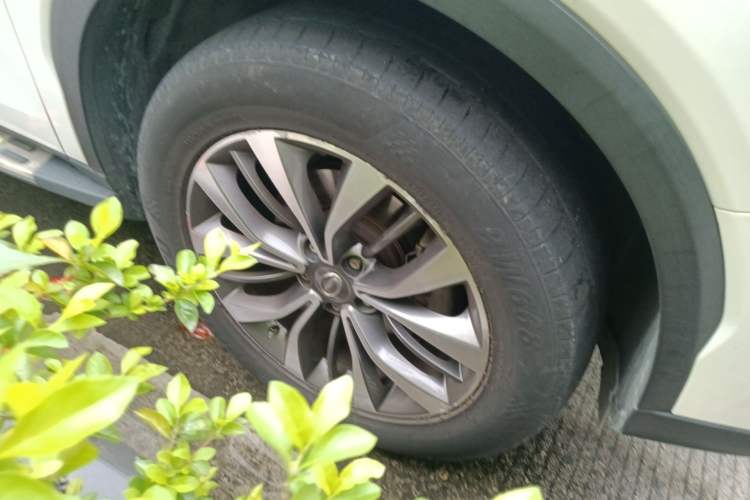 Used GAC Trumpchi GS8 2017 320T Two-Wheel Drive Luxury Smart Connectivity Version (7 Seats)
