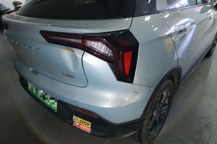 Used Geometry E Firefly 2022 320KM Cute Tiger 4-Seater
