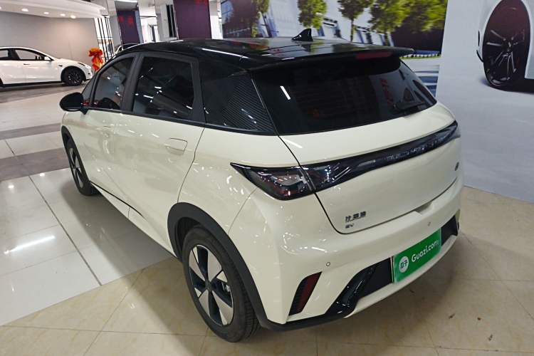 Used BYD Dolphin 2023 420 km Free Version