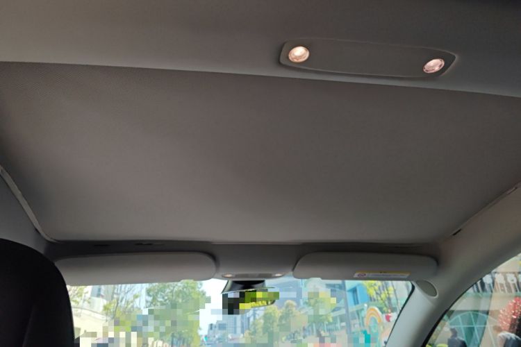 Used Tesla Model 3 2022 Rear-Wheel-Drive Version Headliner