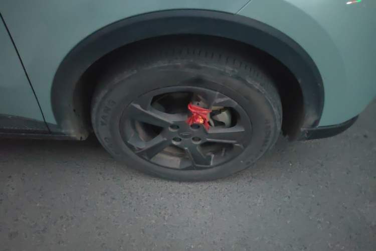 Used Geometry E Firefly 2022 320KM Cute Tiger 4-Seater
