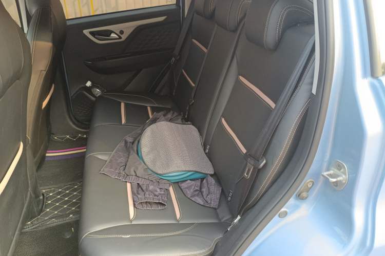 Used SOL E10X 2022 Flower Fairy Design Four-Leaf Clover Left Rear Seat