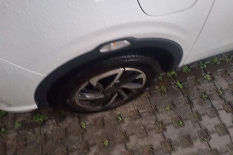 Used NETA V 2021 Long-Range Industry Custom Edition