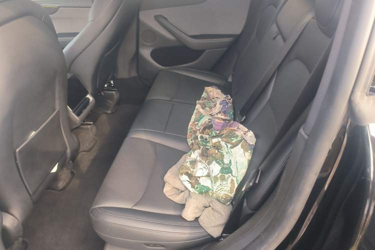 Used Tesla Model Y 2025 Rear-Wheel-Drive Version