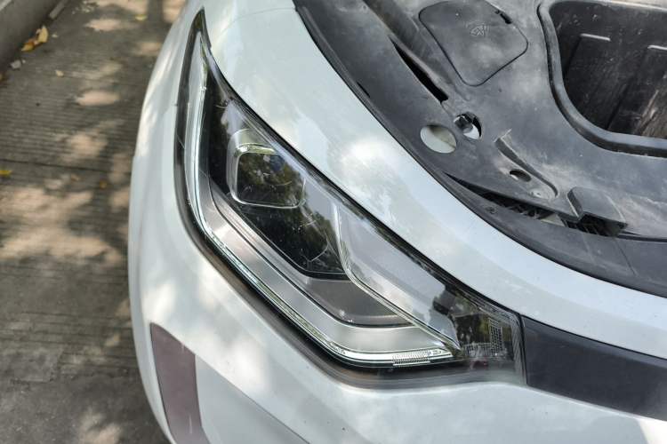 Used SOL E10X 2022 Flower Fairy Design Sunflower
