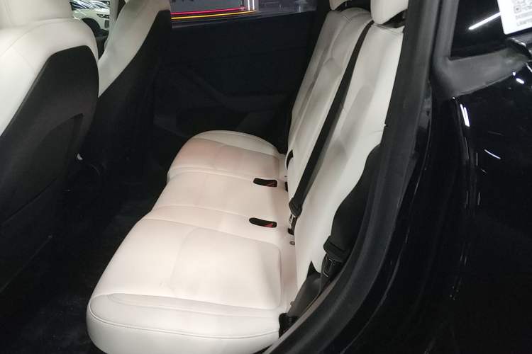 Used Tesla Model Y 2022 Revised Version Long-Range All-Wheel Drive
